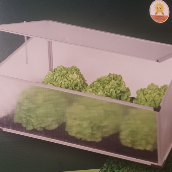 Greenhouse NWT Cold-Frame - Picture 2 of 11